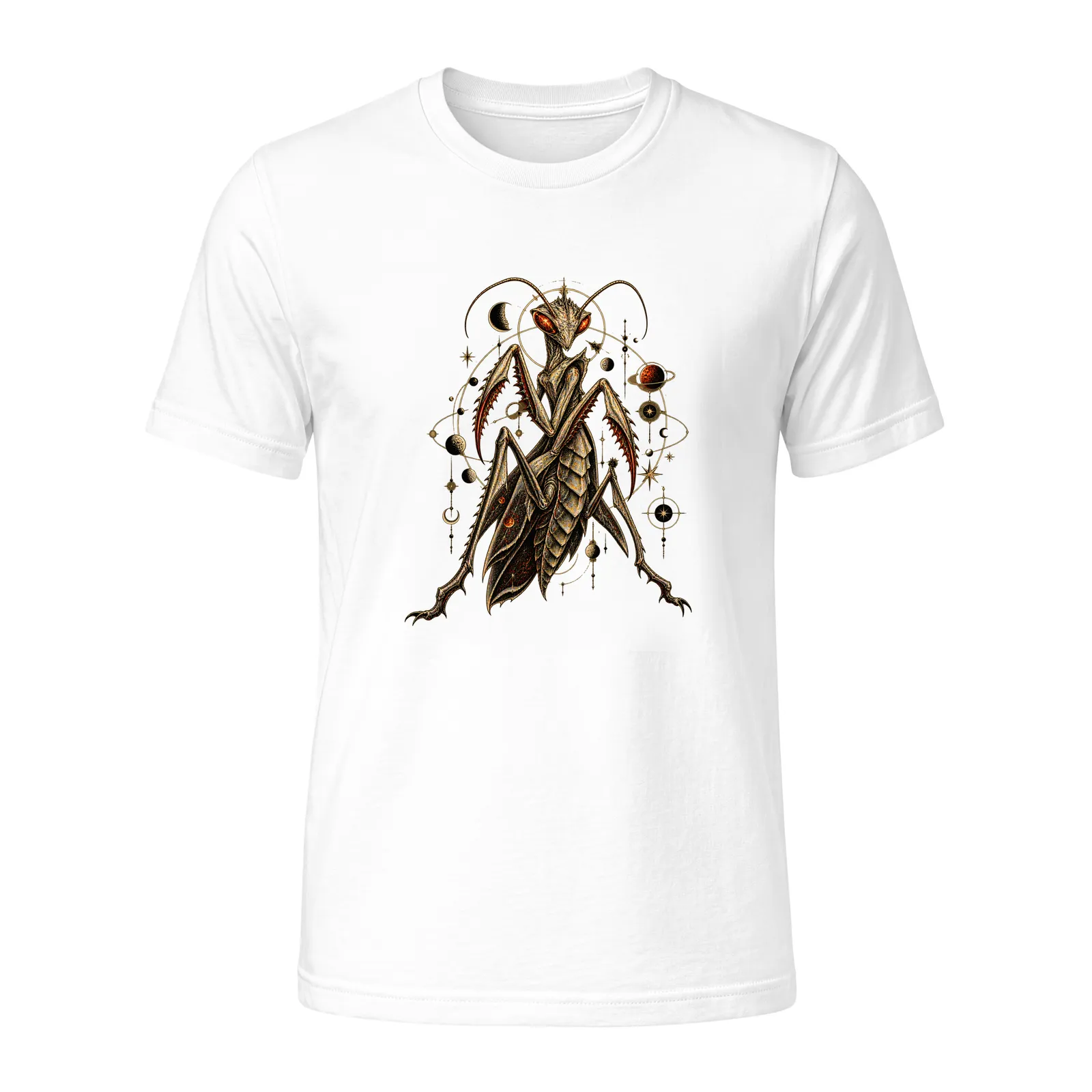 product_170_6ac6ebc1487b0.webp