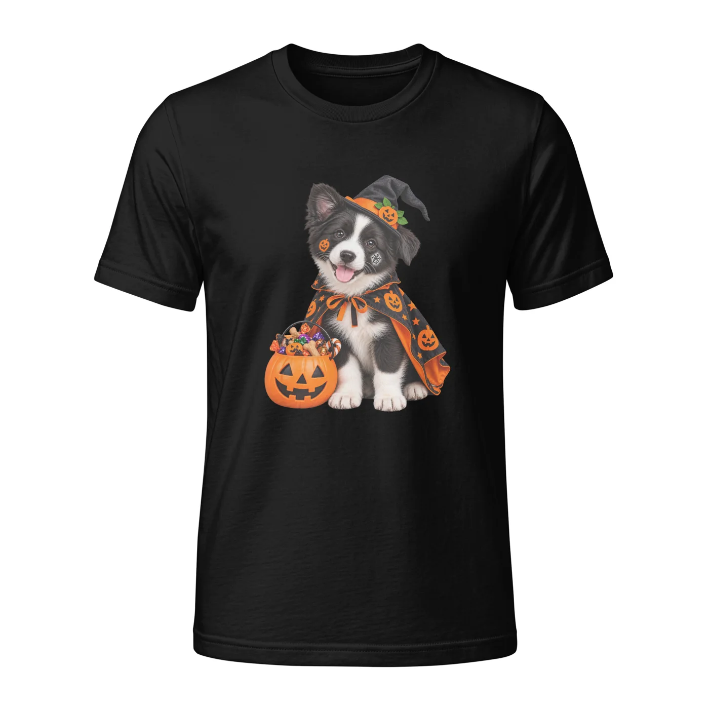 border-collie-witch-hat-black.webp