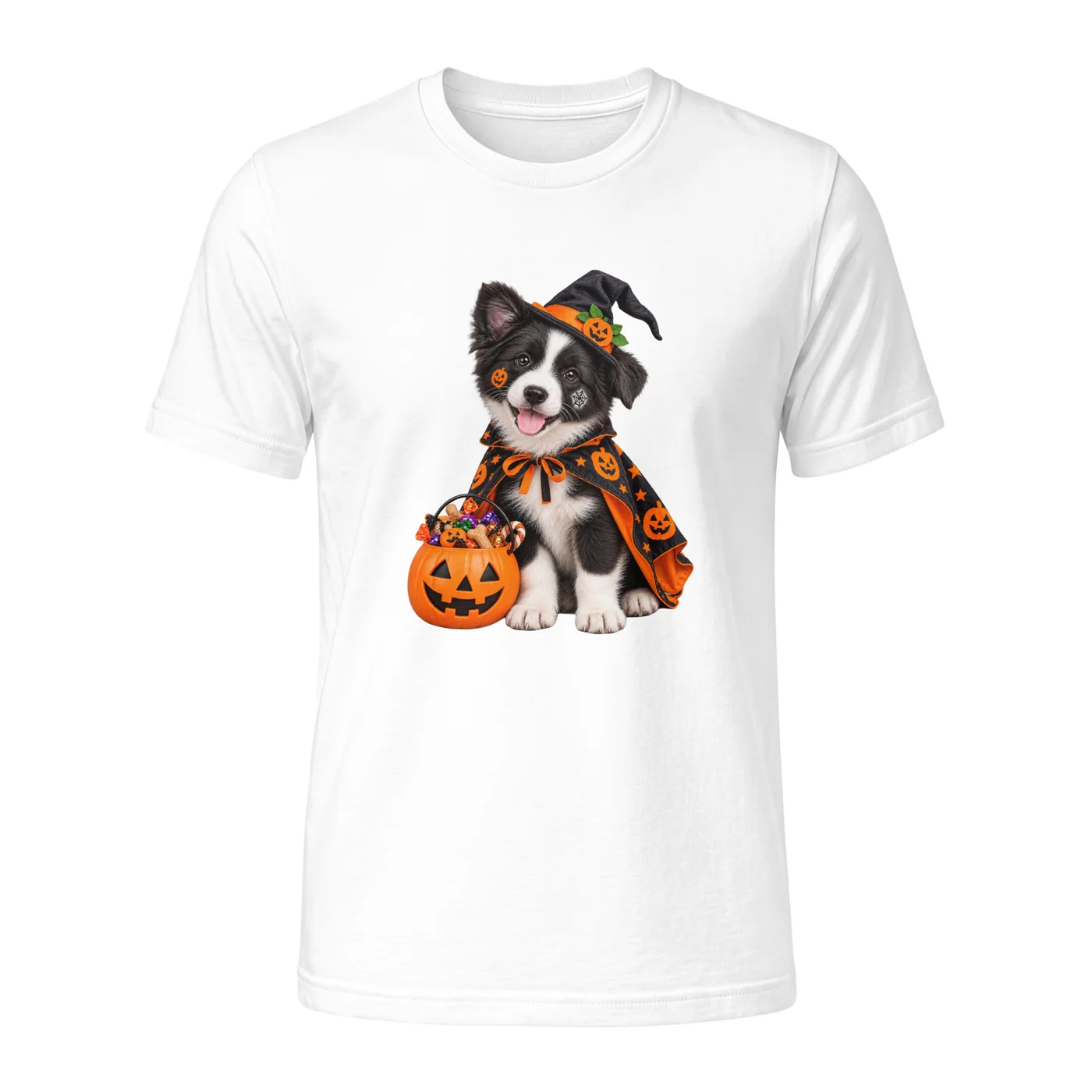 border-collie-witch-hat-white.webp